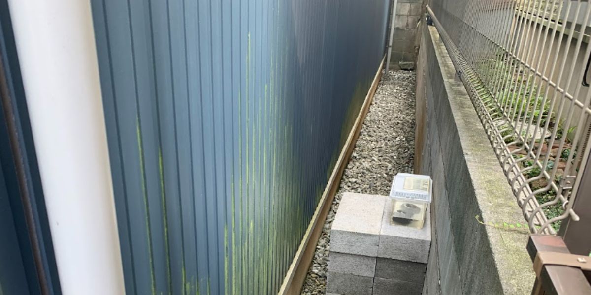 外壁の汚れ・カビ